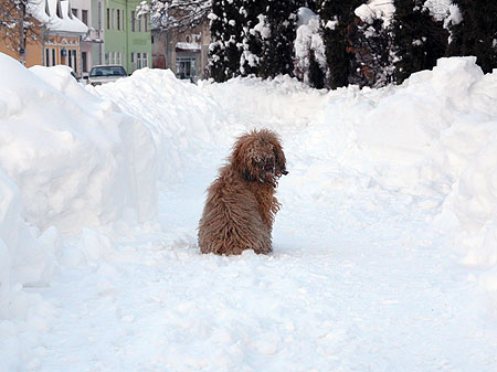 Kosiv in winter