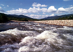 Річка Черемош